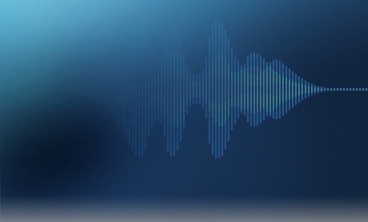 voice of customer spectrogram