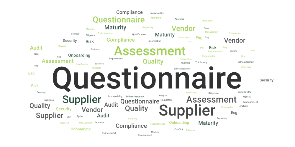 Word cloud showing the various B2B questionnaires offered by Interaction Metrics, including due diligence questionnaire, business requirement questionnaire, and self-assessment questionnaire